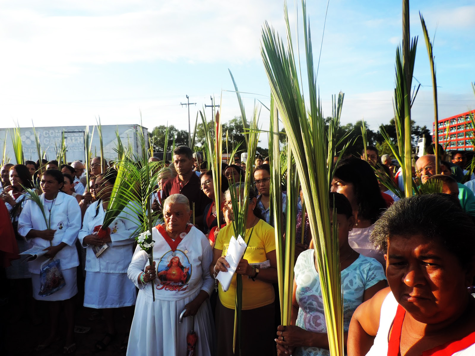 Igreja Católica realiza tradicional procissão e missa de Domingo de Ramos, em Altos