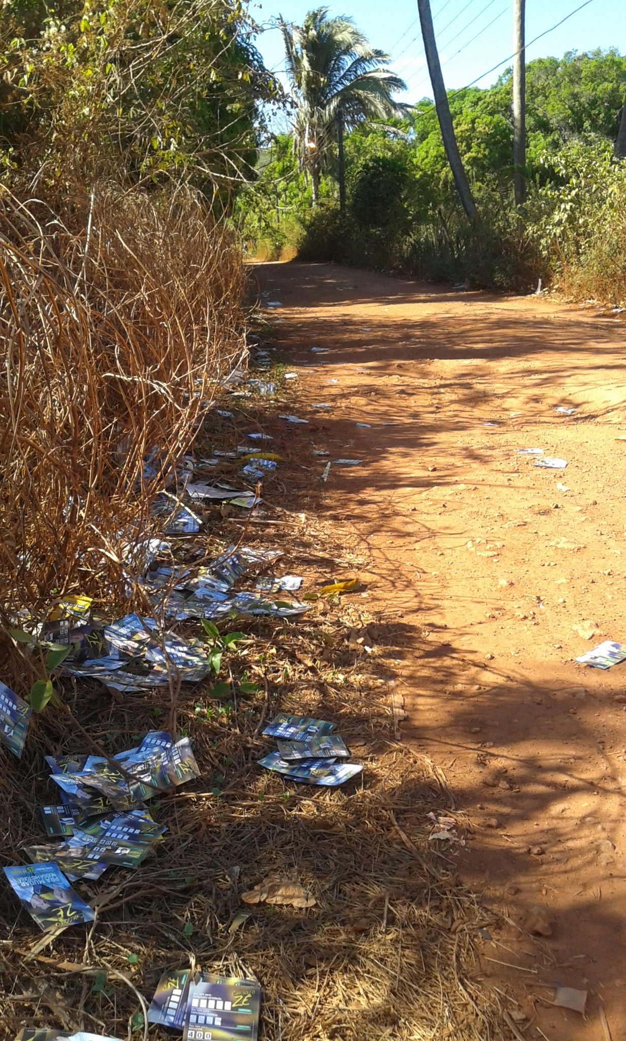 Estradas amanhecem sujas com santinhos e panfletos de candidatos