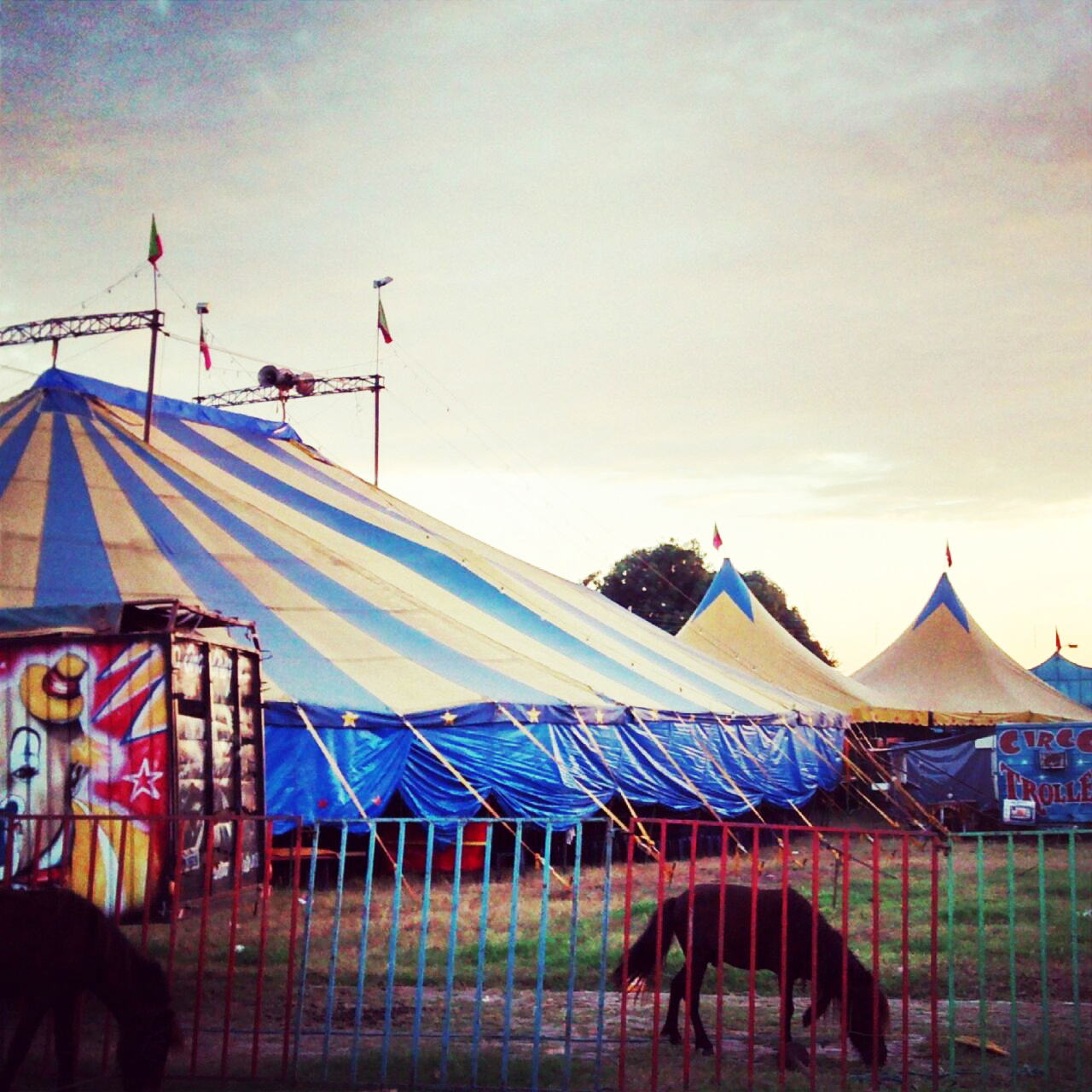 Circo Troller estreia em Altos nesta sexta, 26