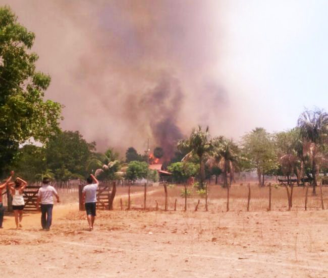 Casal de idosos morre em incêndio de floresta no município de Coivaras