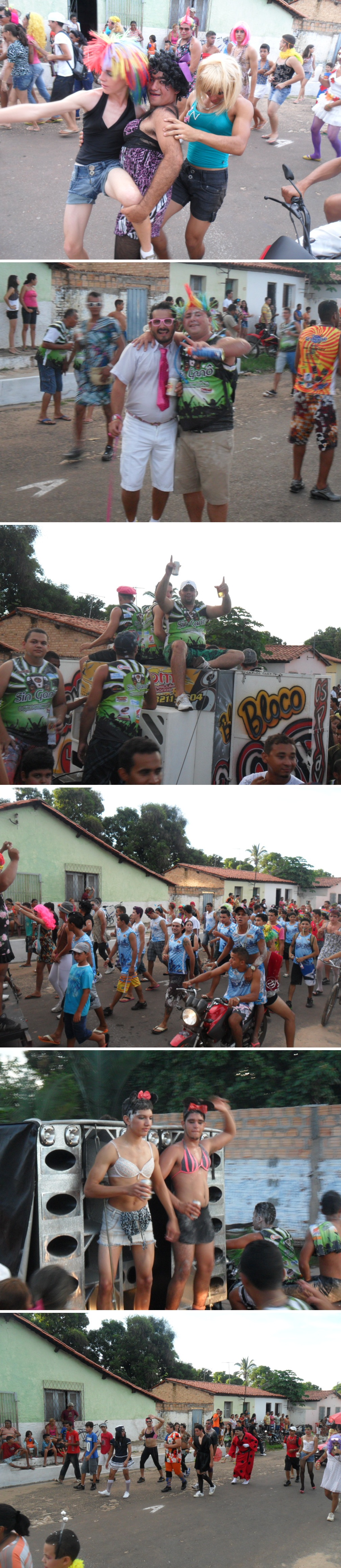 Tradicional desfile dos blocos reúne milhares de Foliões