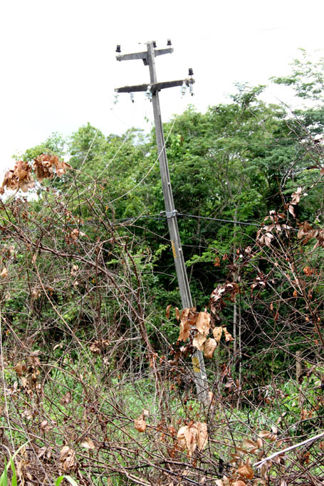 Caminhão-cegonha derruba fios de alta tensão na BR 343, em Altos