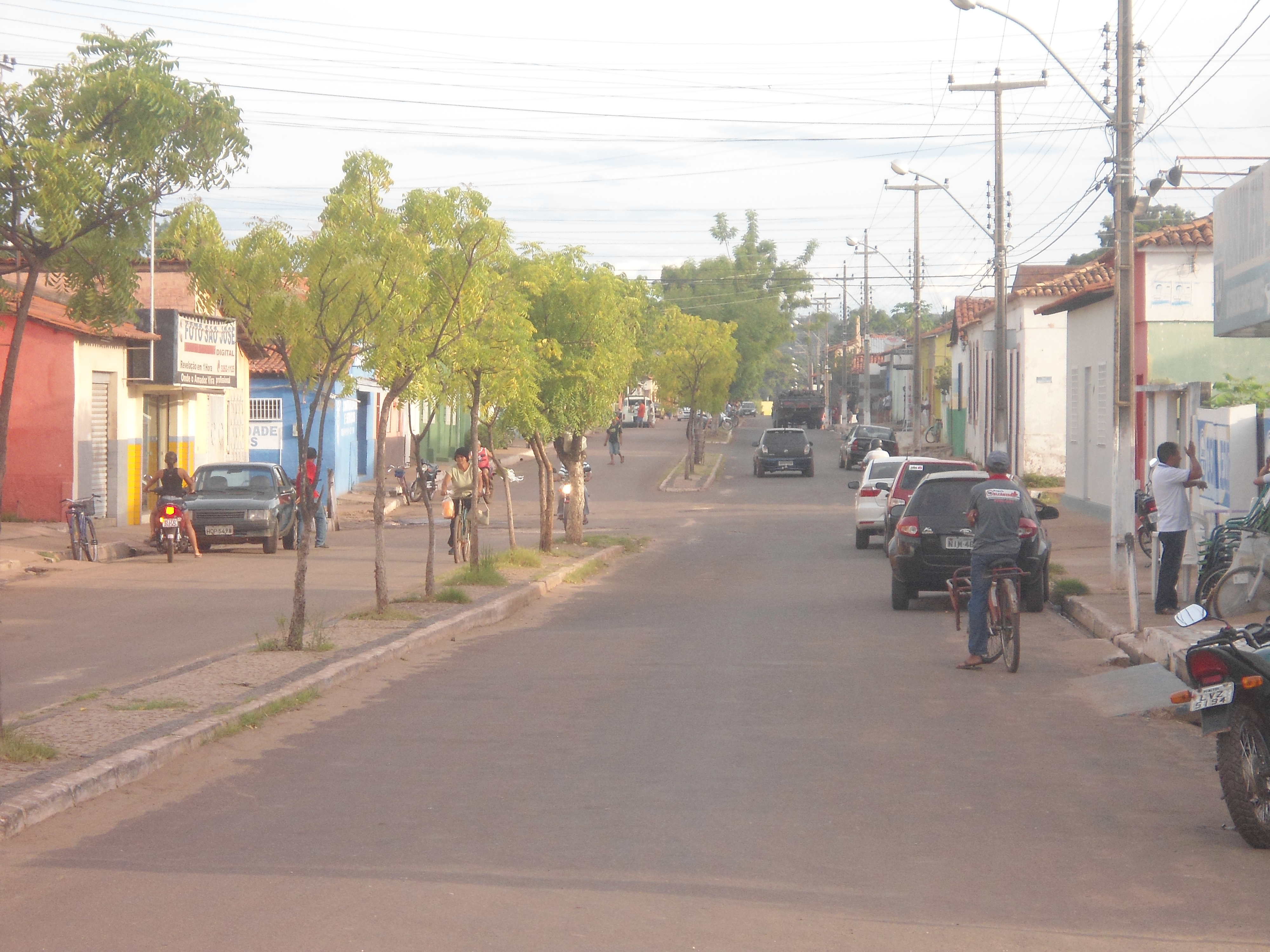 Enxame de abelhas assusta moradores no centro de Altos